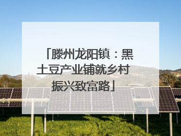 滕州龙阳镇：黑土豆产业铺就乡村振兴致富路